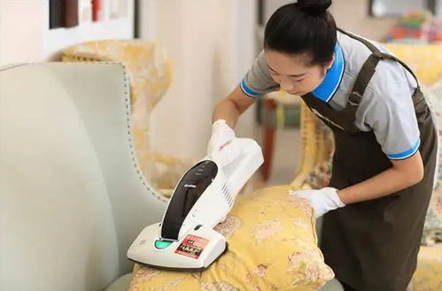 家政公司擴(kuò)展婚姻介紹服務(wù) 多元化加盟新機(jī)遇